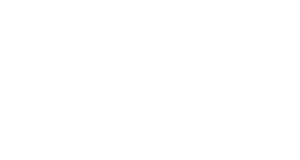 avl_300x160
